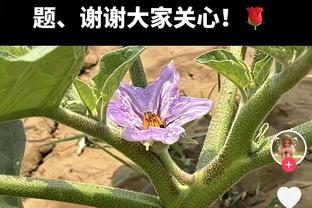 功亏一篑！安芬尼-西蒙斯空砍全场最高41分外加4板7助 失关键上篮